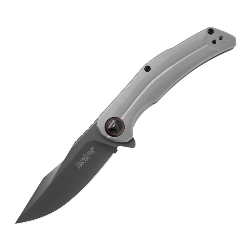 Kershaw Believer Framelock 
