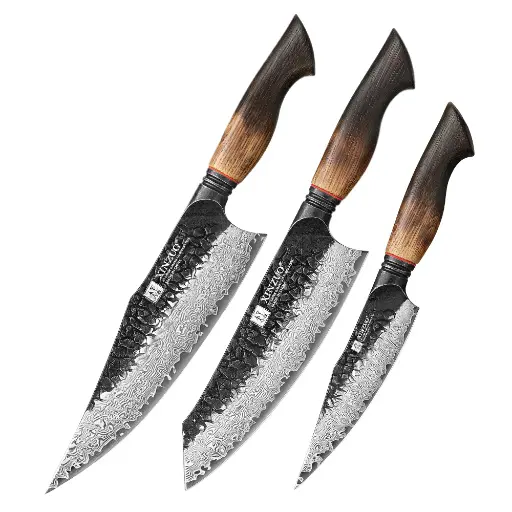 XINZUO 3-Piece Knife Set, 67 Layers Black Damascus Steel Chef Knife/Santoku Knife/Kitchen Utility Knife with Burnt Oak Handle MO-Series X06-A3