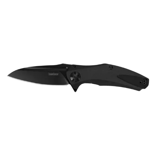 Kershaw Natrix Knife KS7007